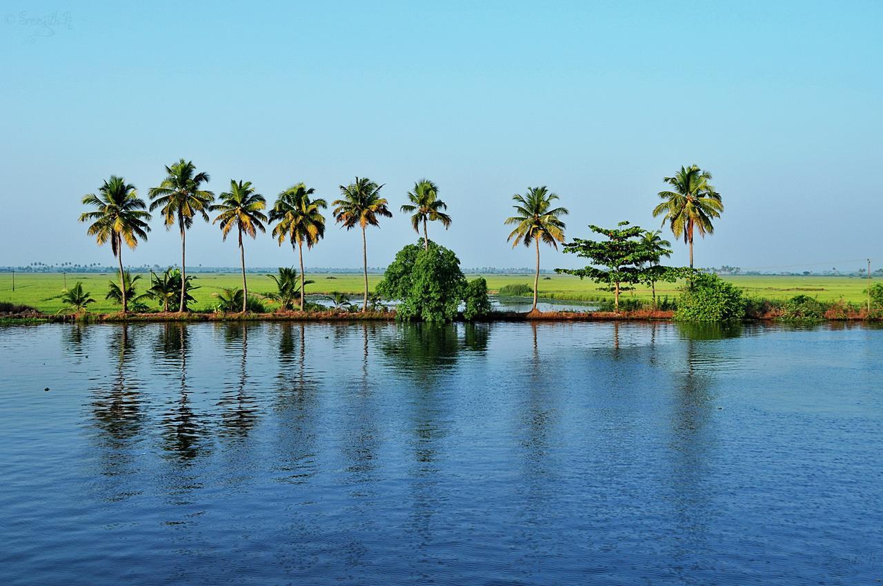 Marari Peterland Appartement Alappuzha Kamer foto
